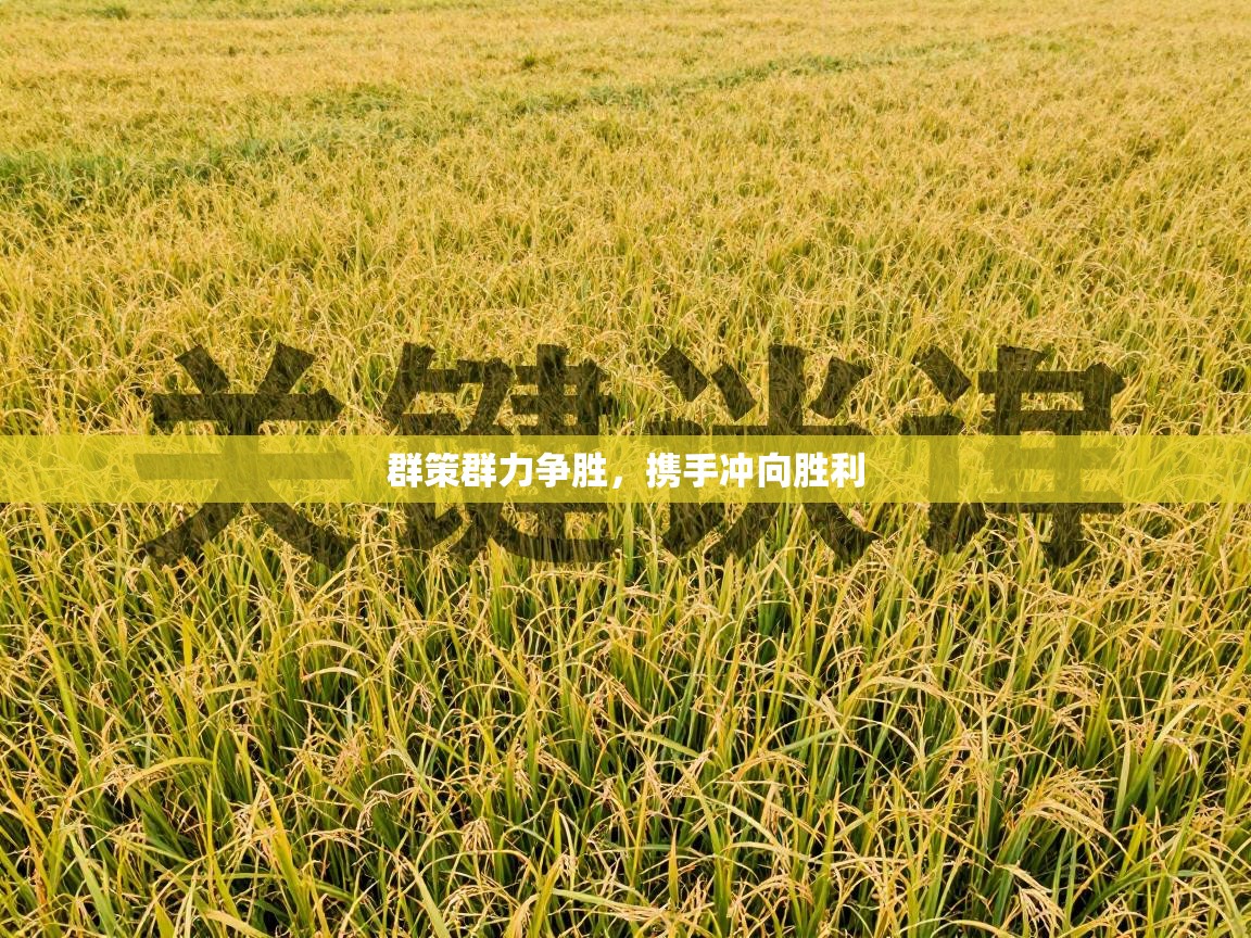 群策群力争胜,携手冲向胜利 第1张