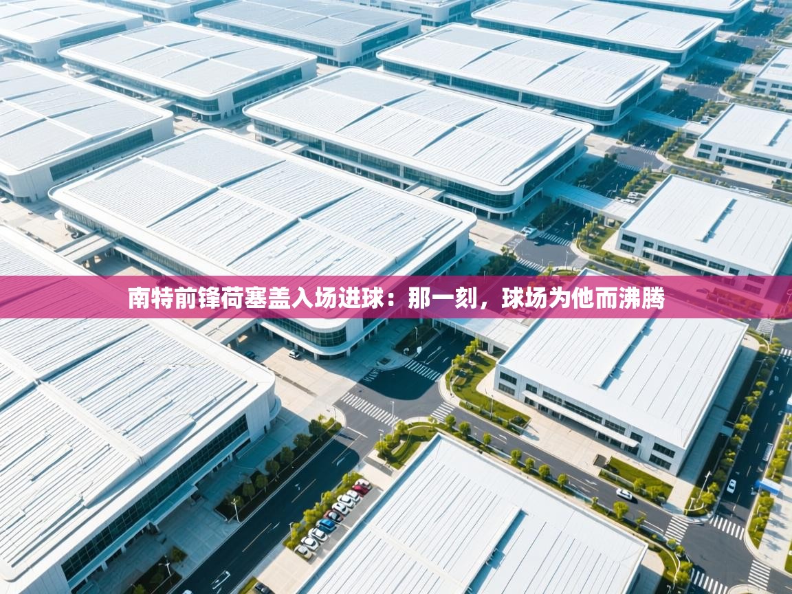 南特前锋荷塞盖入场进球：那一刻，球场为他而沸腾  第1张