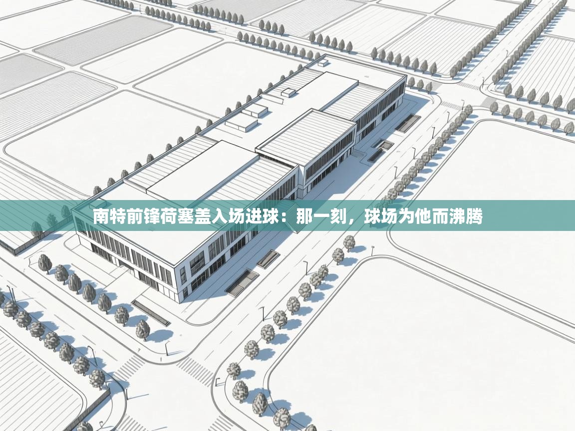 南特前锋荷塞盖入场进球：那一刻，球场为他而沸腾  第2张