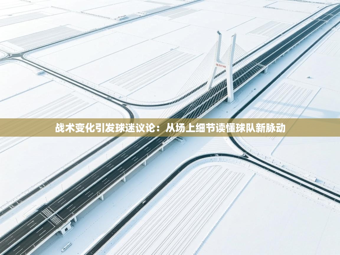 战术变化引发球迷议论：从场上细节读懂球队新脉动  第1张